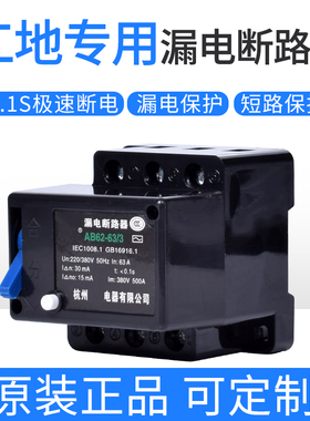 AB62漏电断路器 40A 63A 工地专用 可定制断开断流15mA30mA 75mA
