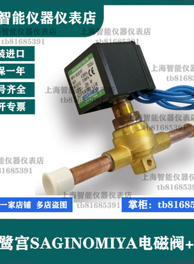 议价RPV-603DYF电磁阀RPV-302BYF RPV-1607DYF 220V