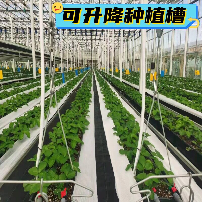 升降立体种植槽空中无土栽培高架草莓种植槽花卉蔬菜种植箱大棚
