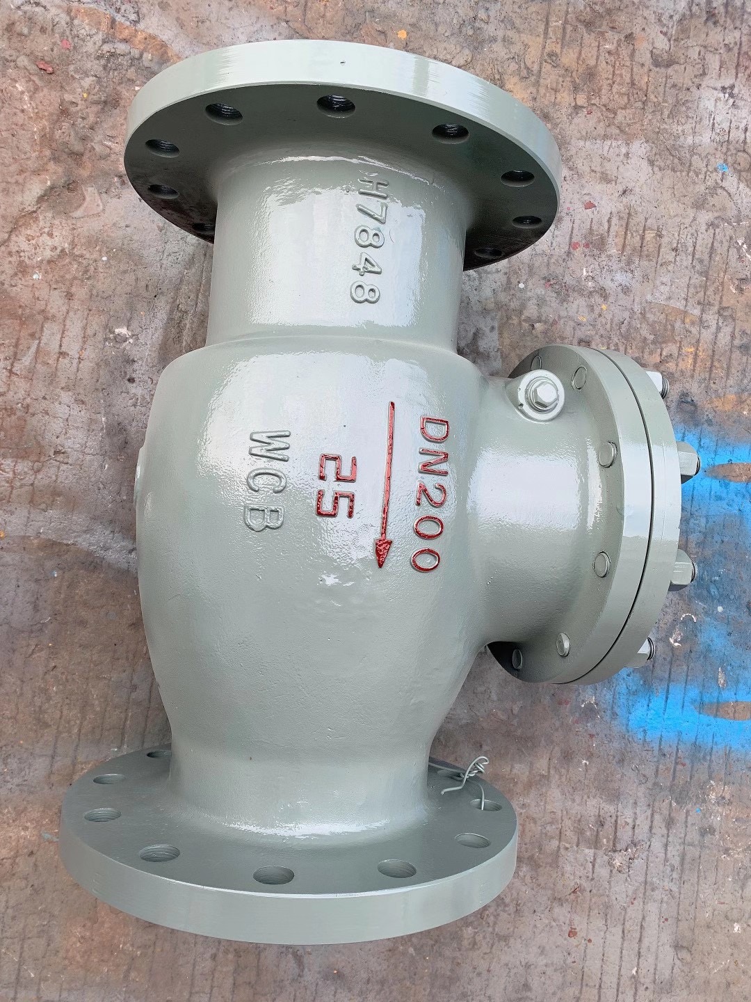 腾信铸钢旋启式止回阀碳