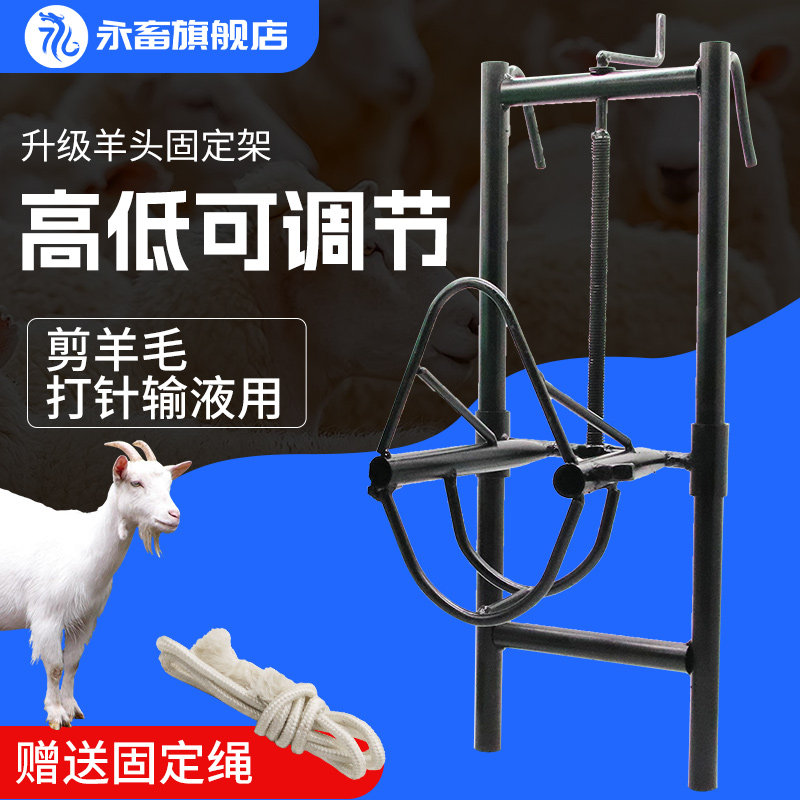羊头固定架羊挤奶剪羊毛打针固定架子升降保定架配种喂药修蹄固定