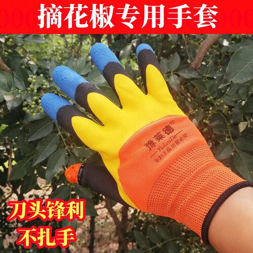 防扎手摘花椒神器采专用