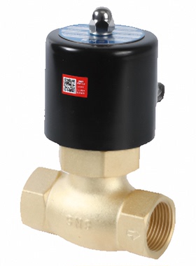 SNS神驰气动常闭电磁阀高温水气阀蒸汽阀2L170-15 200-20 250-25