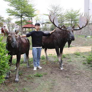 大型园林景观仿真驴动物驼鹿模型玻璃钢雕塑景区公园装饰落地摆件