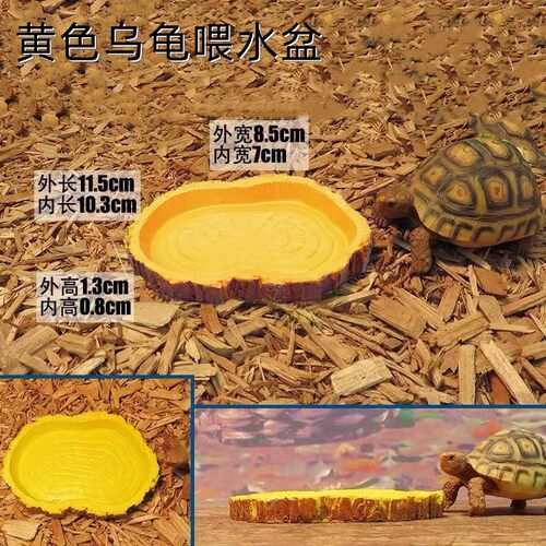 爬虫宠箱仿真岩石造景深