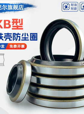 DKB型骨架铁壳防尘圈55/60/65/70/75/80*69/74/79/84/89/94*8/11