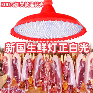 新国标红壳白光鲜肉灯海鲜白光猪肉灯卤菜熟食灯超市鲜肉水果专用