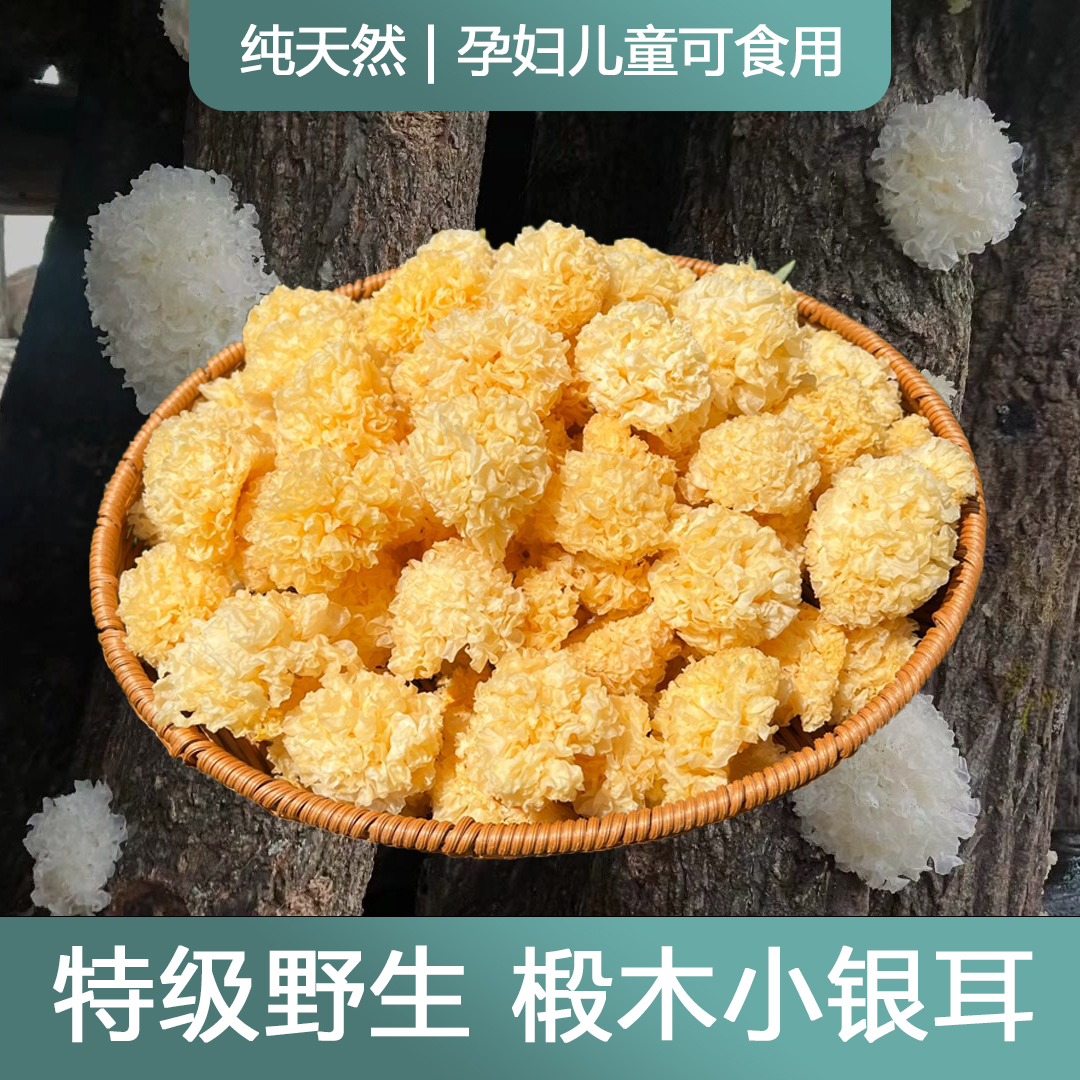 特级天然椴木小银耳新货