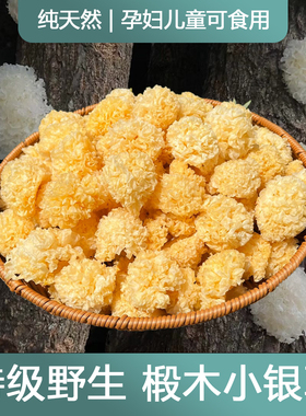 特级天然椴木小银耳干货无硫无杂质新货白木耳野生古田雪耳出胶糯