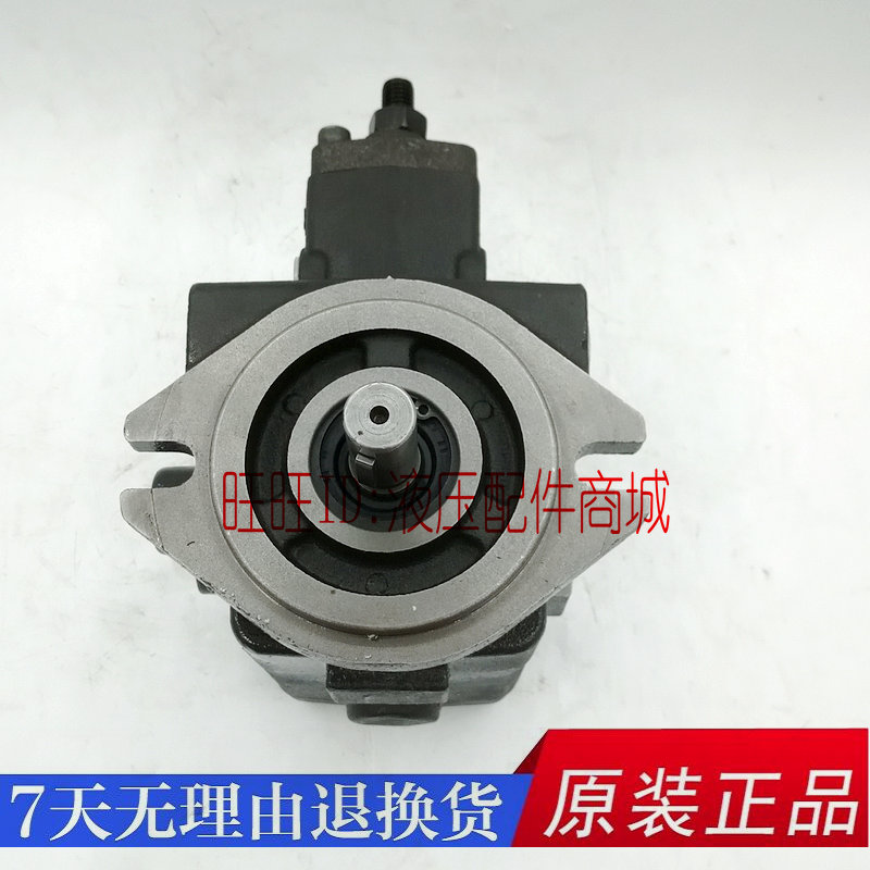 ANSON安颂双联油泵PVDF2-D70-D70-15 C55-C55 B35-B35 A20-A20-15