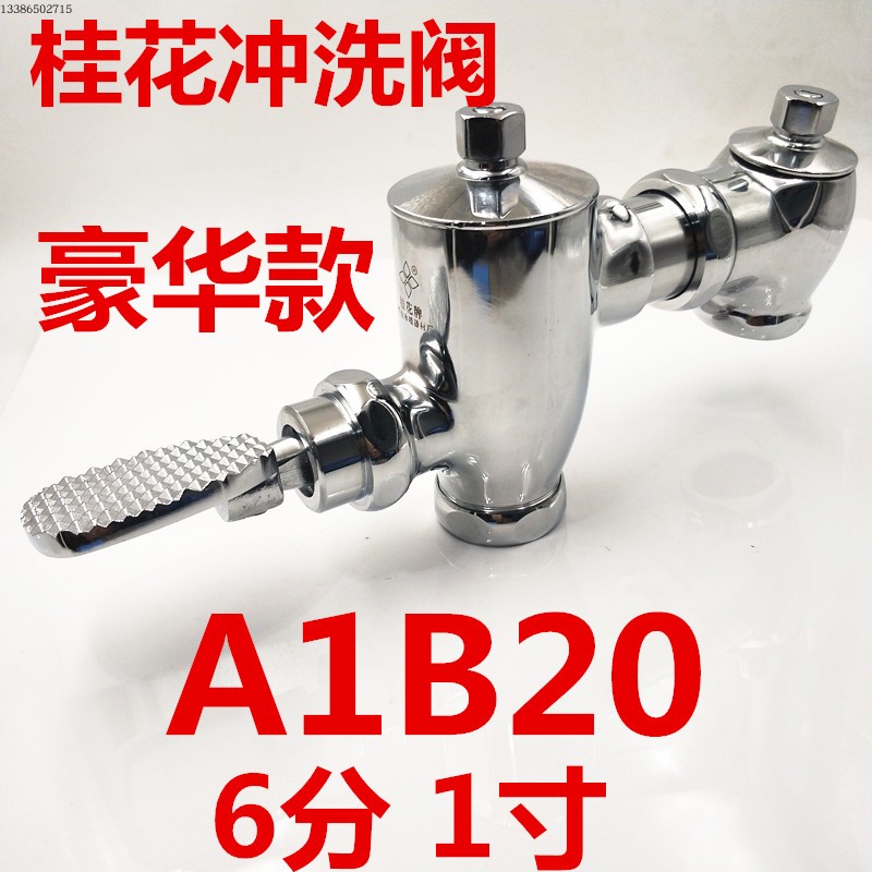 桂花牌冲洗阀A1B20-1大肚款大便冲水阀DN20 25洗手间卫生间蹲坑阀