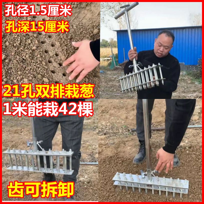 种葱神器栽打洞自动孔农