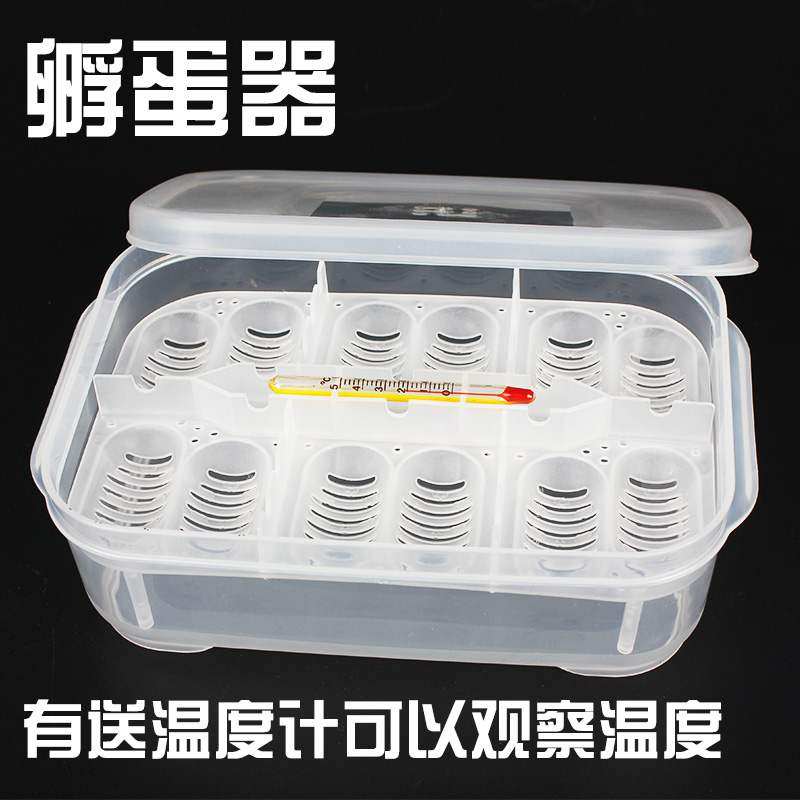 乌龟蛋孵化盒孵化器水龟蛋蜥蜴蛋蛇蛋鸟蛋鸽子蛋孵化箱繁殖产蛋盒,标准件/零部件/工业耗材,输送带/传送带,淘宝优惠券,粉丝福利购,淘宝优惠卷