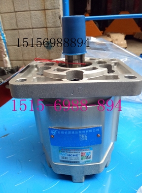 合肥长源液齿轮油泵CBNZQ-F520-BLHL原装正品长源CBNZQ-E520-BLPL