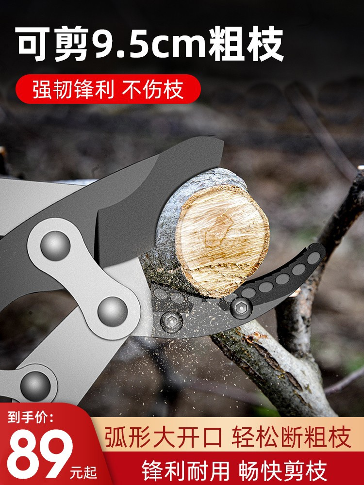 德国芝浦修枝剪刀树枝剪园林粗枝高枝剪花枝剪园林工具专用大力剪