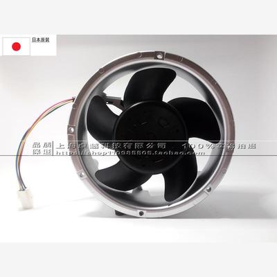 新款D1751S24B8CP329全新