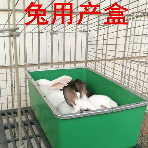 兔用产仔箱子笼外置母塑