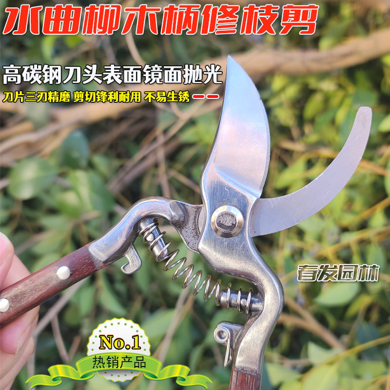 水曲柳修枝剪家用修枝剪树枝果树花卉树枝修枝剪修花剪蔬果园艺剪