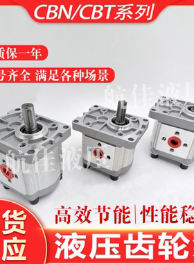 液压齿轮泵油泵总成CBN-F304/CBT-306-F310/F312小型高压油泵泵头