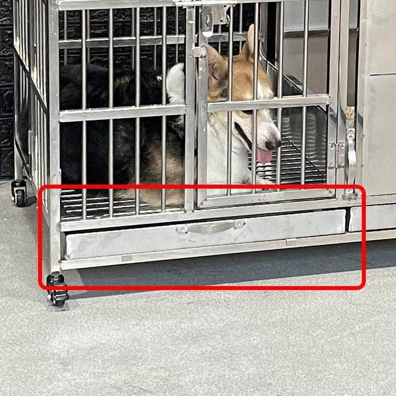 鸡笼子折叠式不锈钢蛋自动下蛋家用鸡笼子鸡窝防啄蛋养殖鸭笼鹅笼