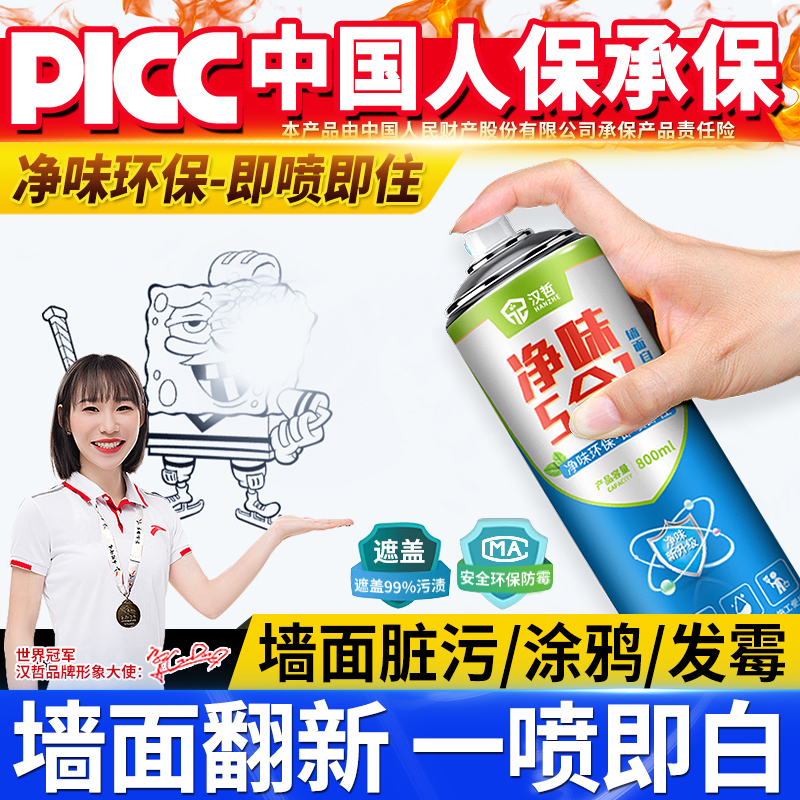 墙面自喷漆乳胶室内家用