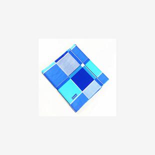 全棉大学生宿舍蓝白格子床单纯棉学生卡通被单学校1米单人床褥单