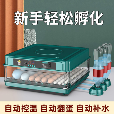 芦丁鸡孵化器小型家用的