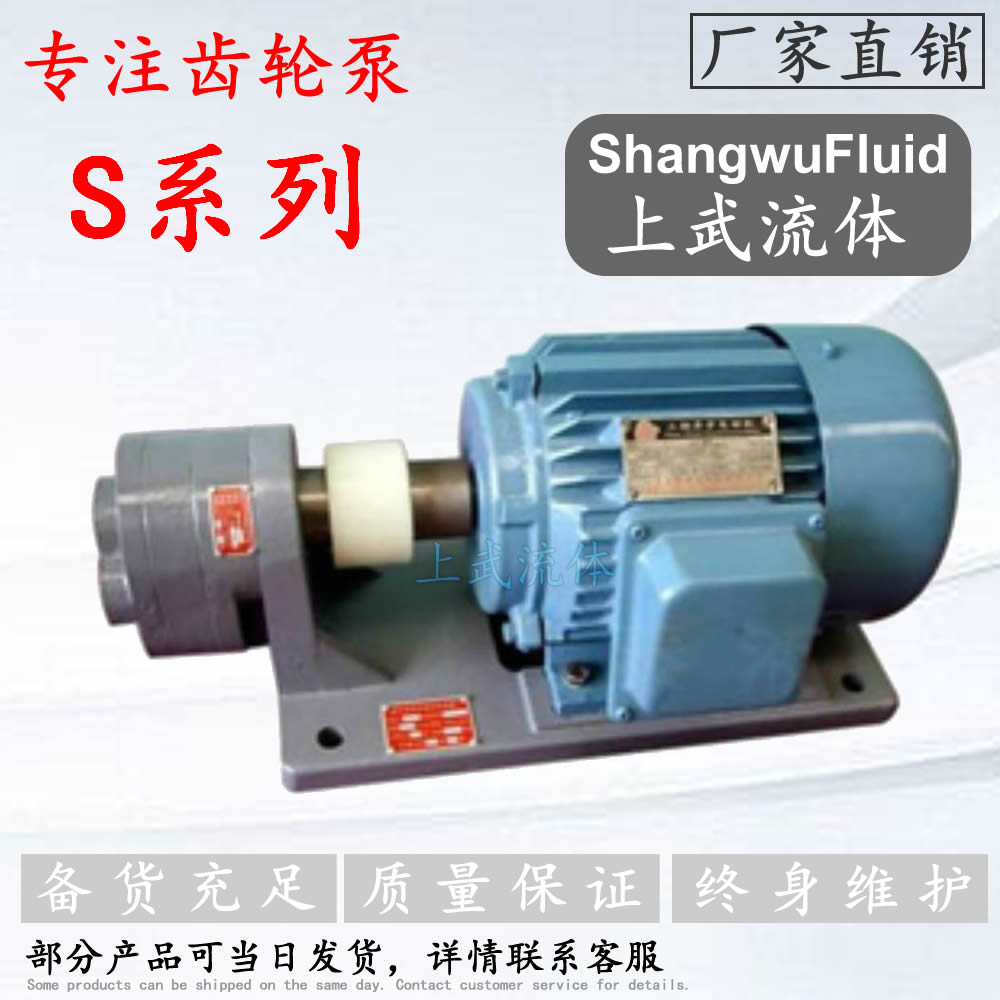 S型微型齿轮泵/铸铁精小型齿轮泵/220V齿轮泵/小型加油齿轮泵