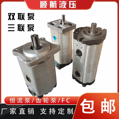 德国进口双联齿轮泵三液