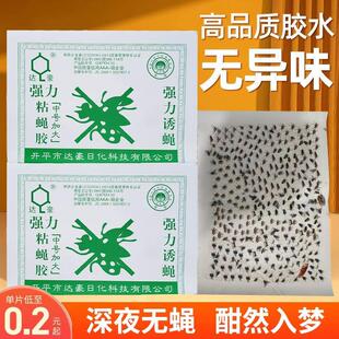 达豪苍蝇贴强力大号粘苍蝇纸板灭蝇神器蚊子克星捕捉器家用一扫光