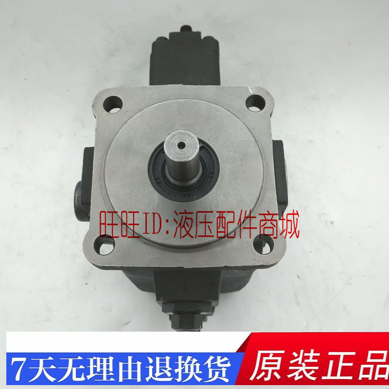 ANSON安颂双联油泵PVDF2-D70-D70-15 C55-C55 B35-B35 A20-A20-15