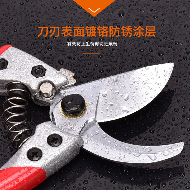 台湾进口钢材园林修剪树