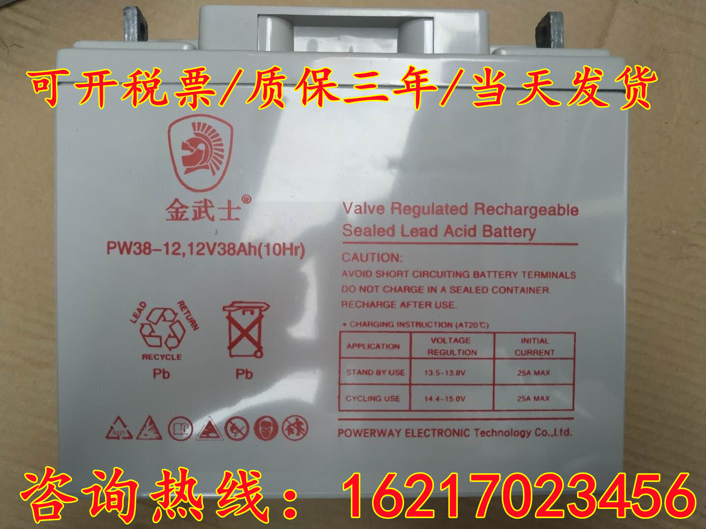 UPS蓄电池PV12V100AH/65AH PW24-12/38-12 PH17-12V150AH