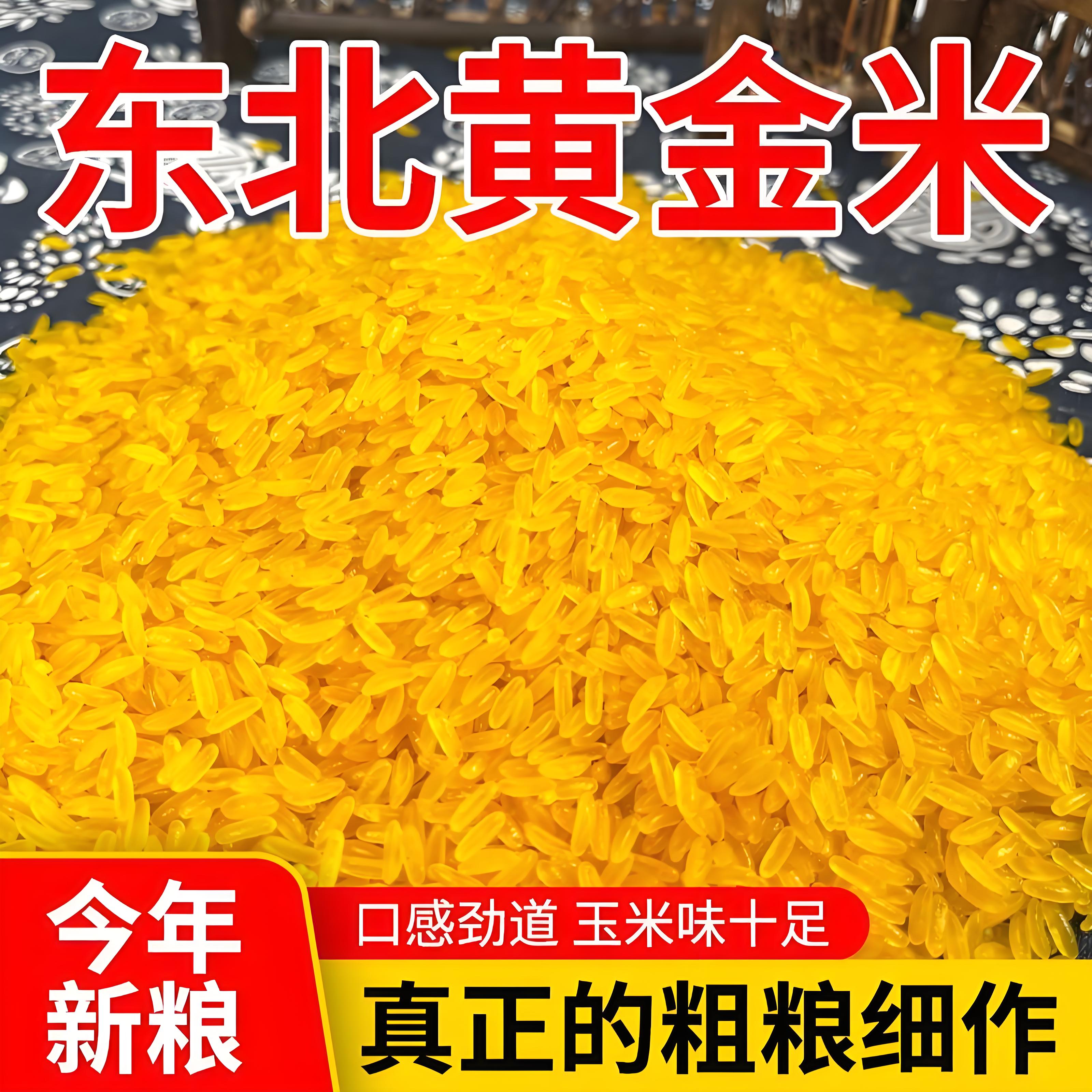 黄金米新米正宗东北黑龙江特产糯玉米做的非大米粗粮五谷10斤5斤