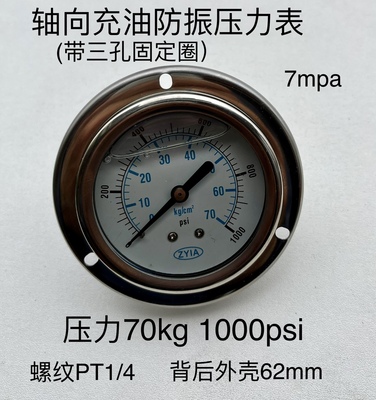 轴向带边充油防振压力表