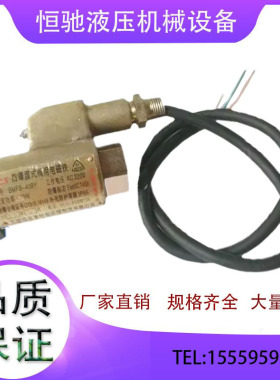 电磁阀阀用阀用湿式防爆电磁铁BMFB-40BY BMFB-25BY 8GY