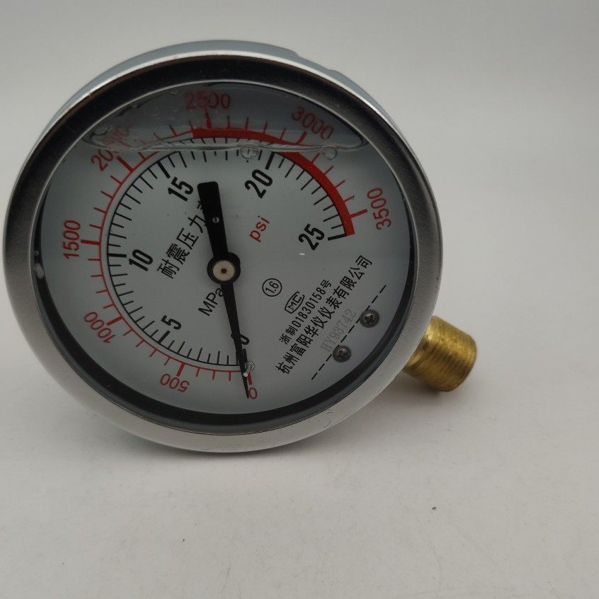 杭州富阳华仪耐震压力表YN100    m20*1.5螺纹
