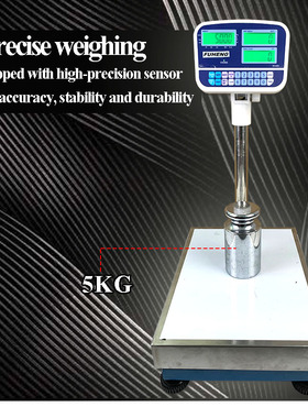 FUHENG electronic scale connected with printer alarm light