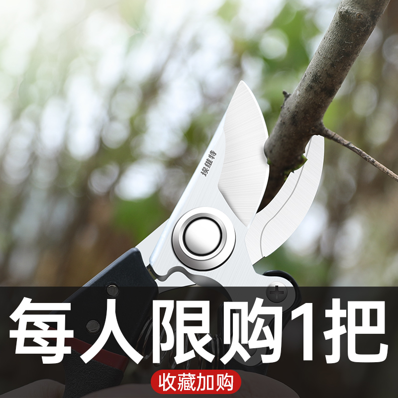 剪枝刀果树修专用园林省