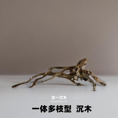 一体多枝飘南美沉木树桩