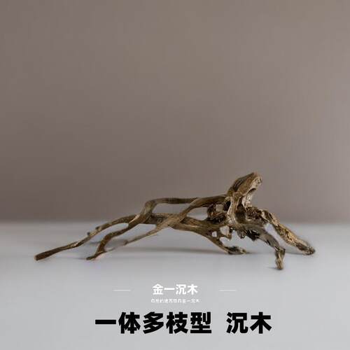一体多枝飘南美沉木树桩