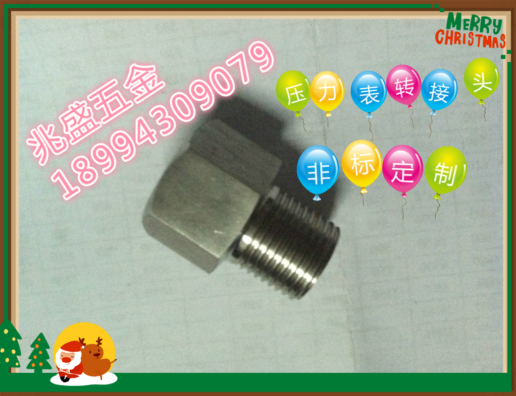 压力表转换接头  压力表不锈钢转接头  不锈钢转接头