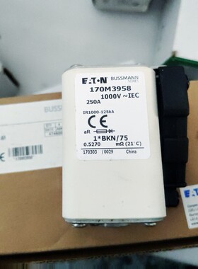 议价170M3958 FUSE 250A