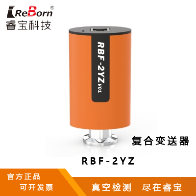 成都睿宝 RBF-2YZv01复合变送器 真空计