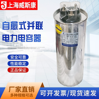 上海威斯康圆柱形自愈式