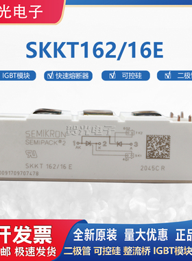 全新原装西门康可控硅模块SKKT162/16E SKKT106/16E  SKKD100/16