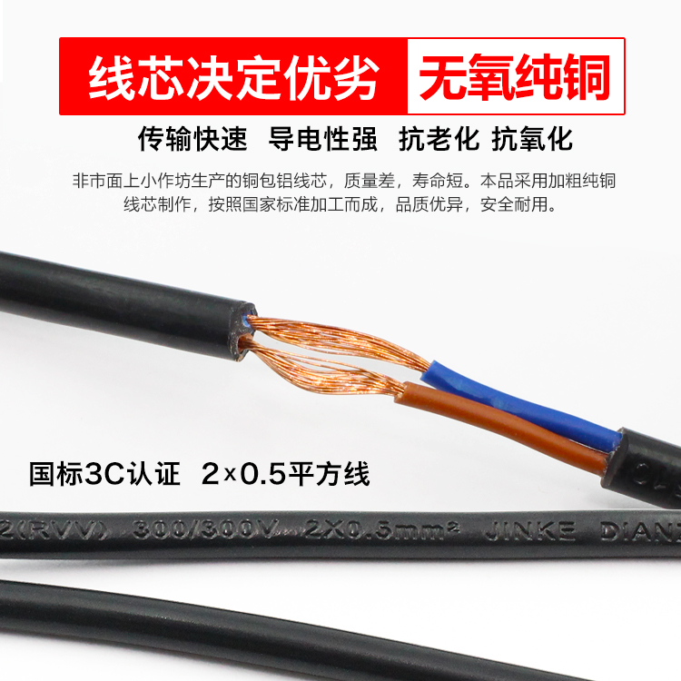 一分二拖转换电动车充器