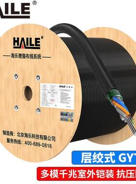 HAILE海乐多模千兆24芯室外铠装光缆GYTS-24A1a层绞式光纤50/1251
