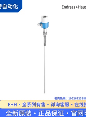 议价E+H恩德斯豪斯导波雷达液位计 FMP51-B2ACCABCA4CGJ 找