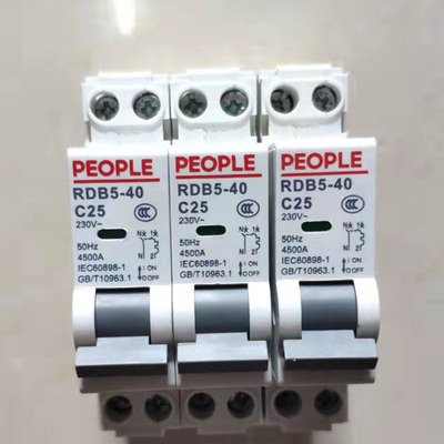 人民电器DPN双进双出16A空开断路器RDB5-40单片家用开关20 25 10